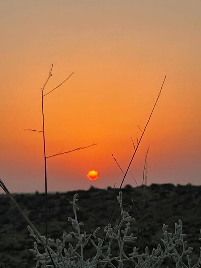 Kings Villa Jaisalmer Eksteriør billede