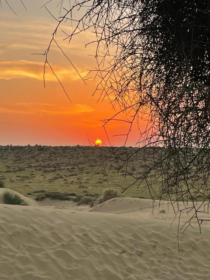 Kings Villa Jaisalmer Eksteriør billede